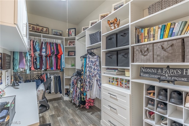 spacious closet with wood-type flooring