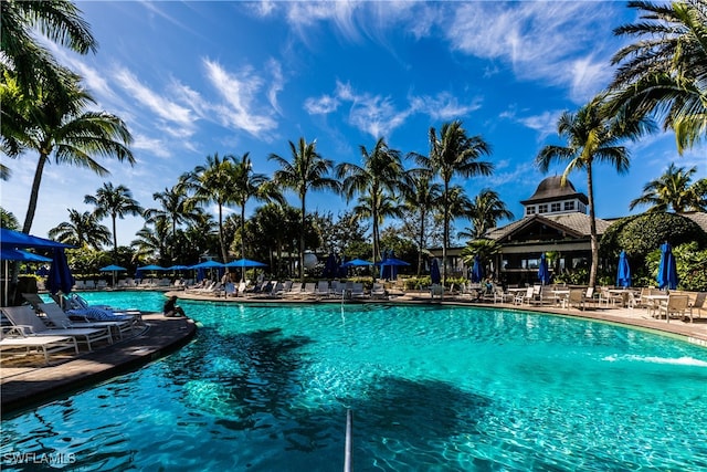 view of pool with a patio area