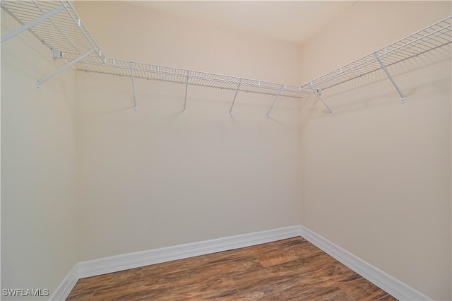 spacious closet featuring hardwood / wood-style flooring