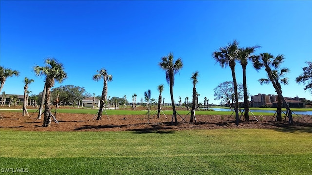 view of property's community featuring a water view and a lawn