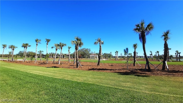 view of playground with a yard