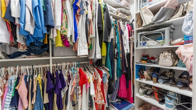 view of spacious closet