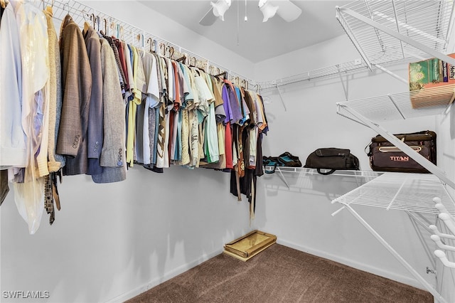 spacious closet with carpet floors