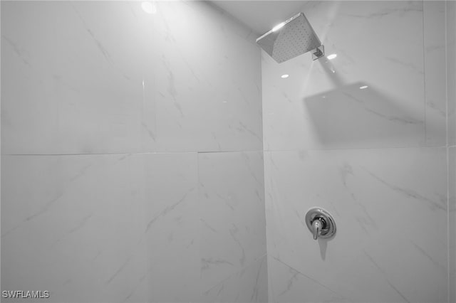 room details with a tile shower