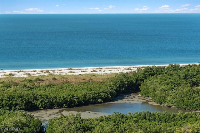 view of water feature featuring a view of the beach