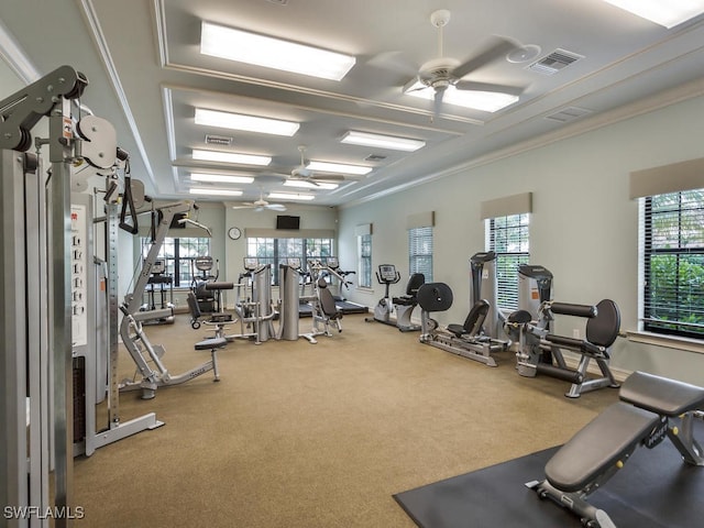 exercise room with ceiling fan, carpet flooring, and crown molding