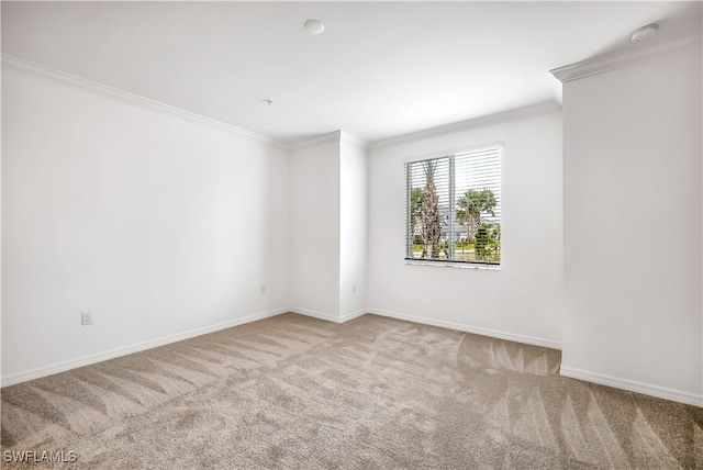 carpeted spare room featuring crown molding