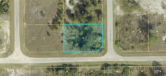 652 Sunflower Ave S, Lehigh Acres FL, 33974 land for sale