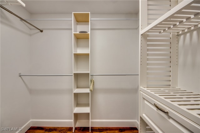 spacious closet with wood-type flooring