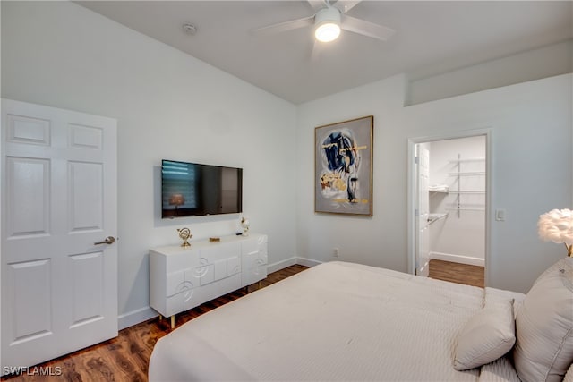 bedroom with dark hardwood / wood-style flooring, a closet, a spacious closet, and ceiling fan