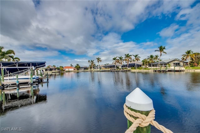 dock area with a water view