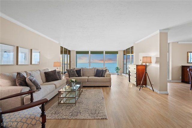 living room featuring light wood-type flooring, a water view, and ornamental molding