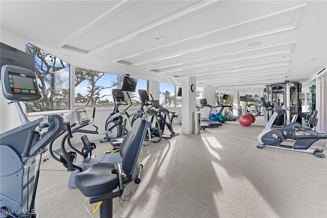 workout area featuring carpet floors