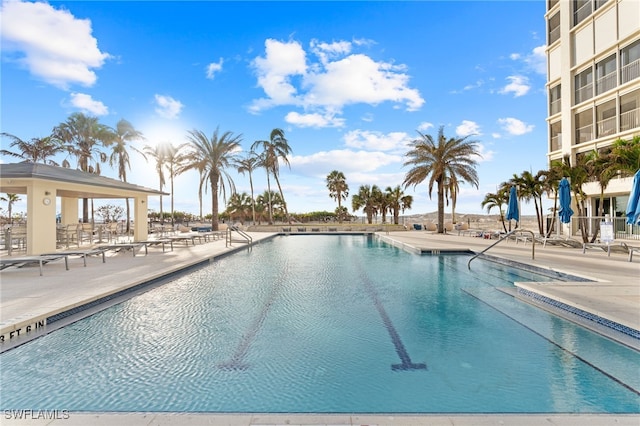 view of swimming pool with a patio area