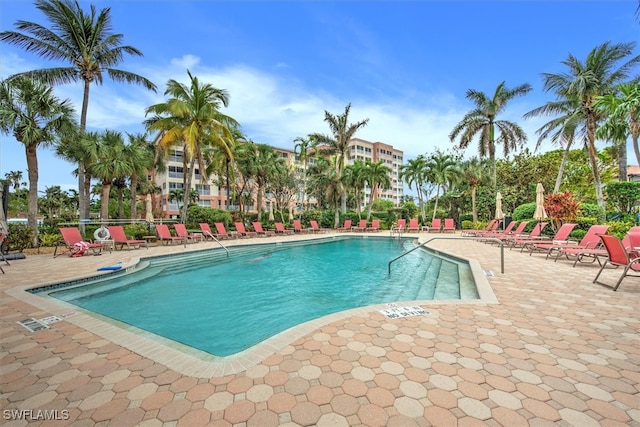 view of pool featuring a patio