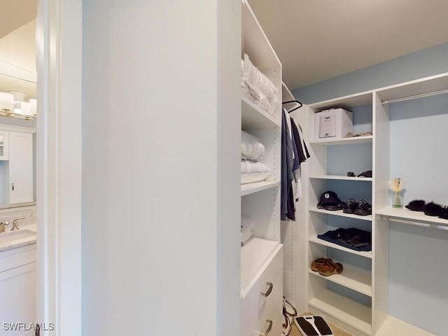 spacious closet featuring sink