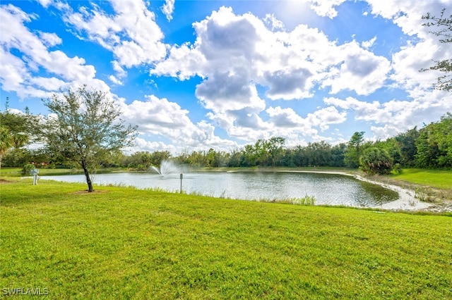 water view