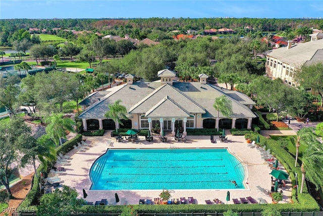 view of pool featuring a patio