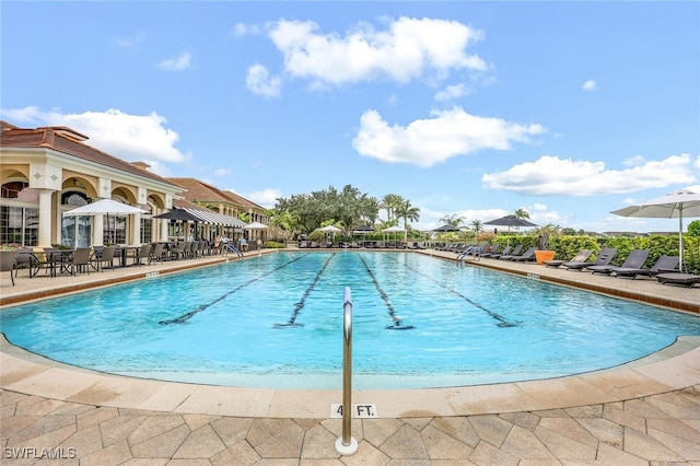 view of pool featuring a patio area