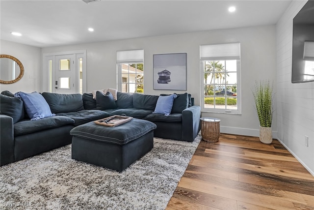 living room featuring hardwood / wood-style flooring