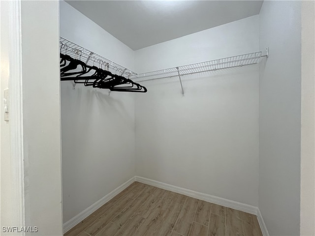 spacious closet featuring hardwood / wood-style flooring