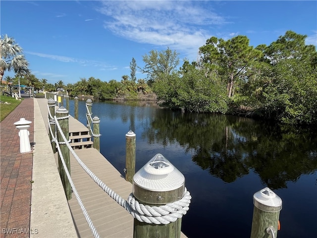 dock area featuring a water view