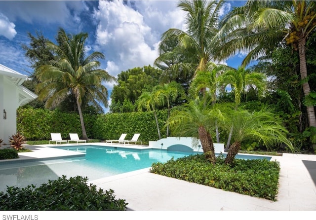 view of pool featuring a patio