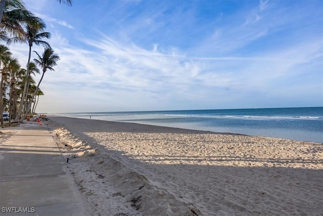 water view with a view of the beach