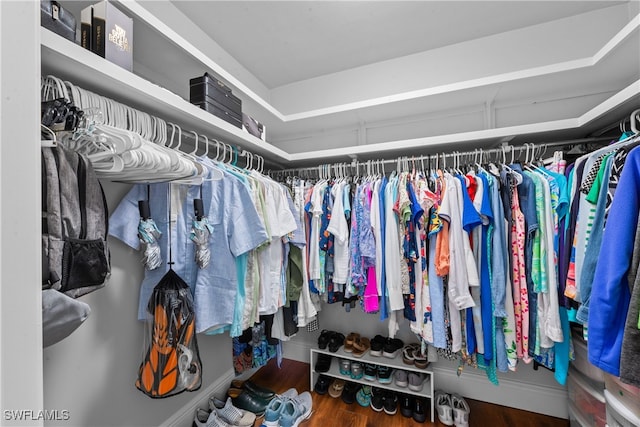 walk in closet featuring wood-type flooring