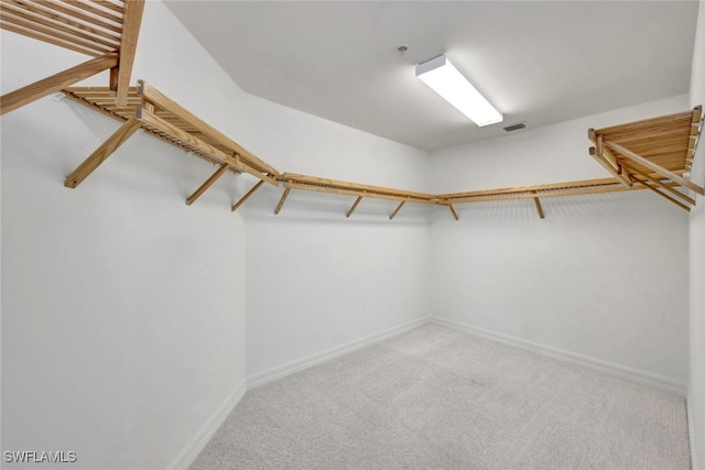 spacious closet featuring carpet flooring