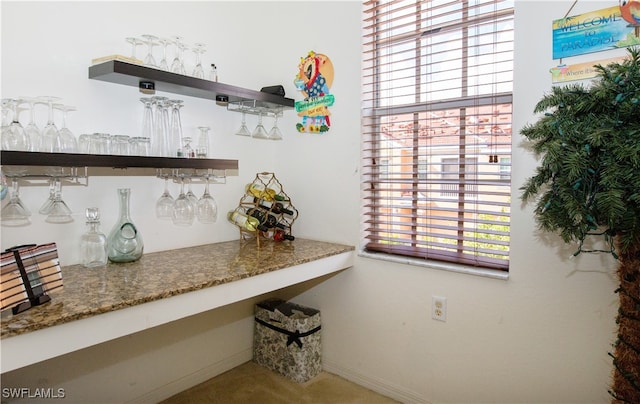 interior space featuring a wealth of natural light and carpet