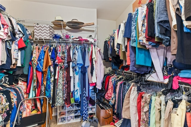 walk in closet with carpet floors