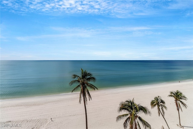 property view of water featuring a view of the beach