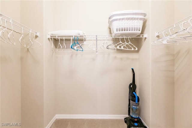 9028 Alturas St Unit 3204, Naples, FL 34113 - view of walk in closet
