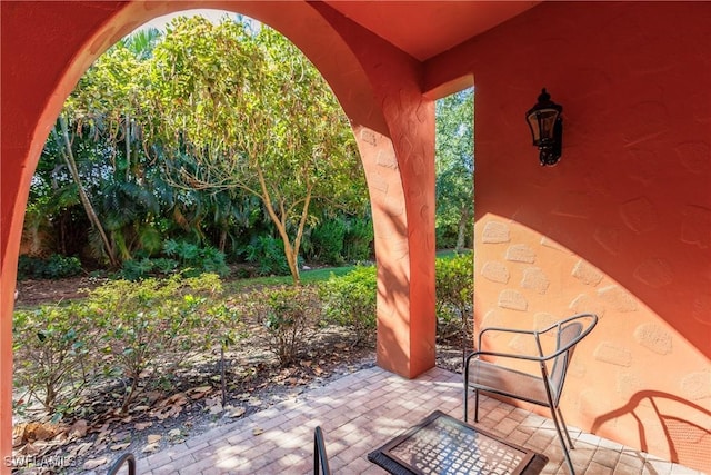 9028 Alturas St Unit 3204, Naples, FL 34113 - view of patio