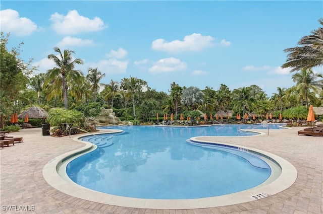 view of swimming pool with a patio area