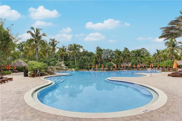 9028 Alturas St Unit 3204, Naples, FL 34113 - community pool with a patio and view of scattered trees