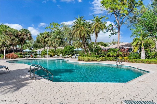 view of swimming pool with a patio area