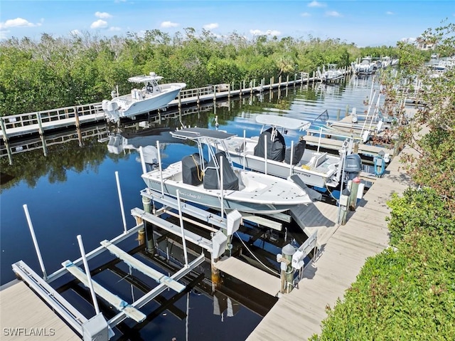 dock area featuring a water view