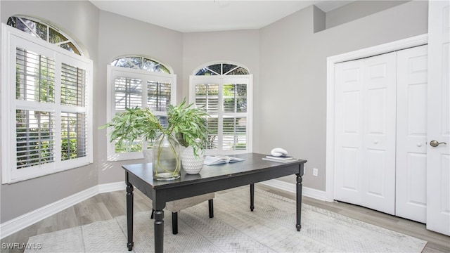 office featuring plenty of natural light and light hardwood / wood-style floors