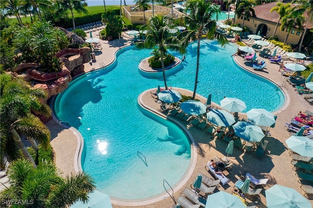 view of swimming pool