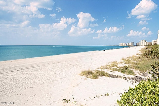 view of water feature featuring a beach view