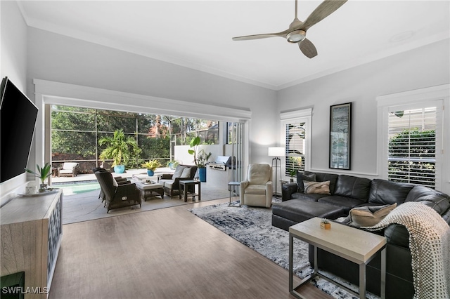 living room with hardwood / wood-style floors, ceiling fan, and ornamental molding