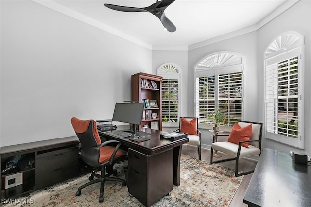 office space with crown molding, light hardwood / wood-style flooring, and a wealth of natural light