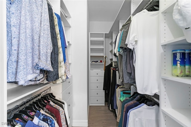 walk in closet featuring wood-type flooring