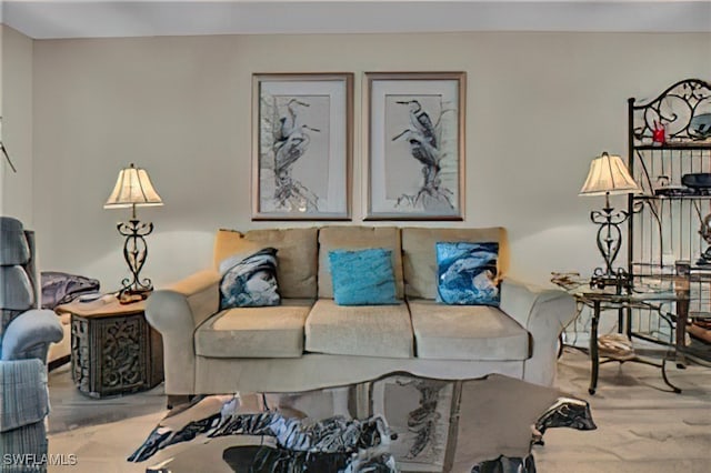 living room featuring light hardwood / wood-style floors