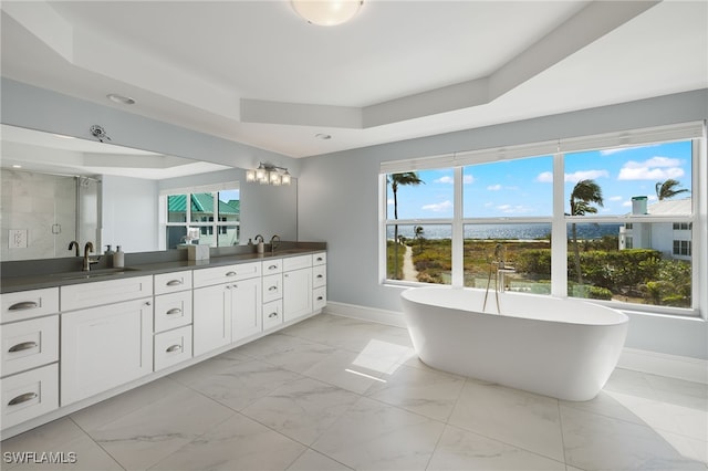 bathroom featuring plus walk in shower, vanity, and a tray ceiling