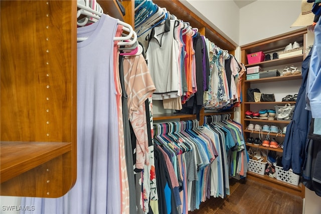 walk in closet with dark hardwood / wood-style flooring