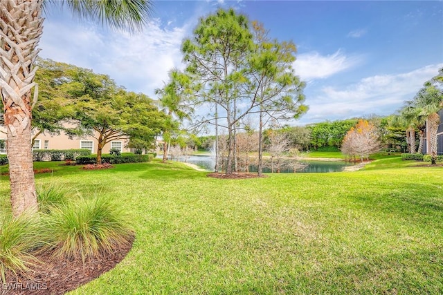 view of yard featuring a water view