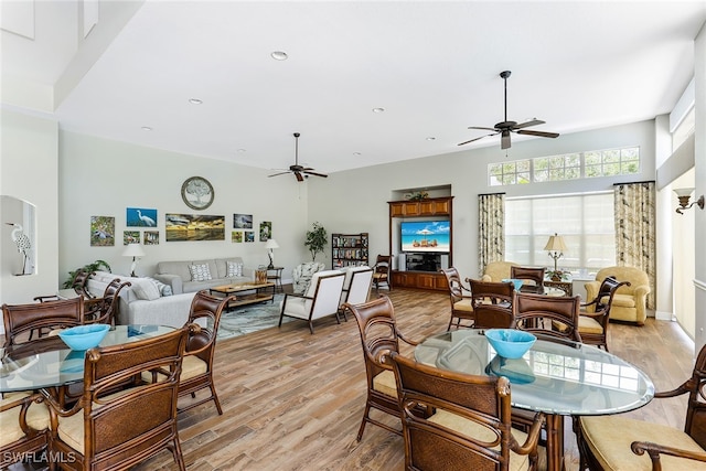 dining space with ceiling fan and light hardwood / wood-style floors